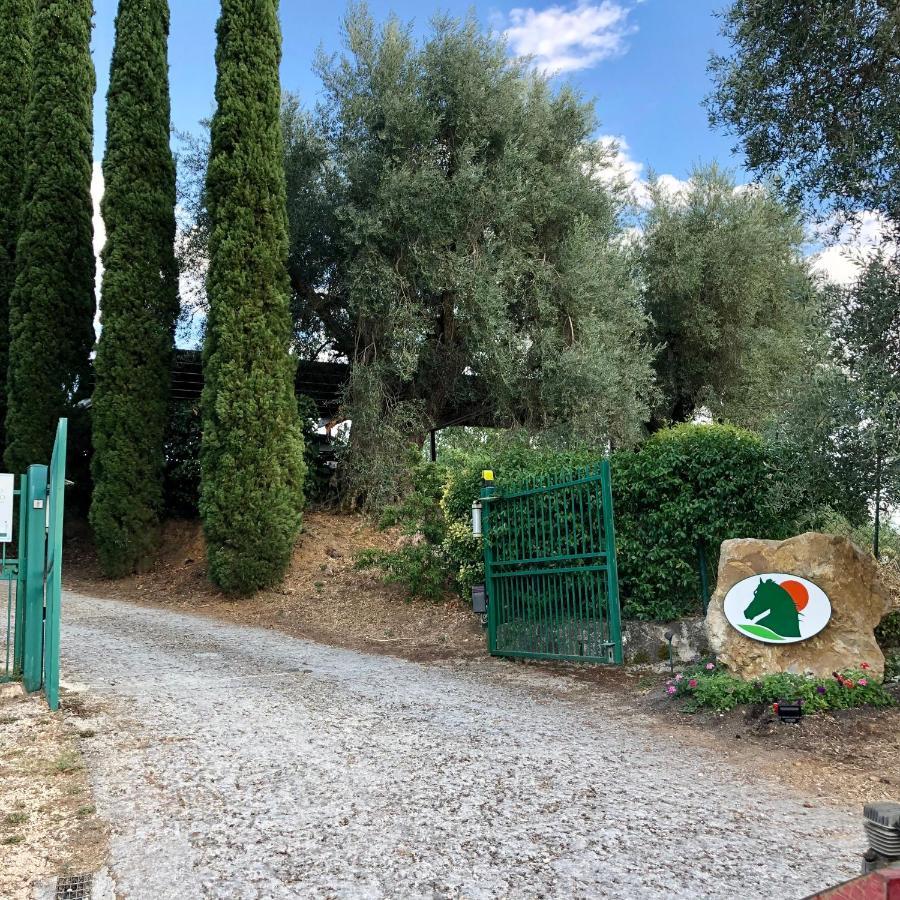 Agriturismo Poggio Del Drago Montemerano Luaran gambar