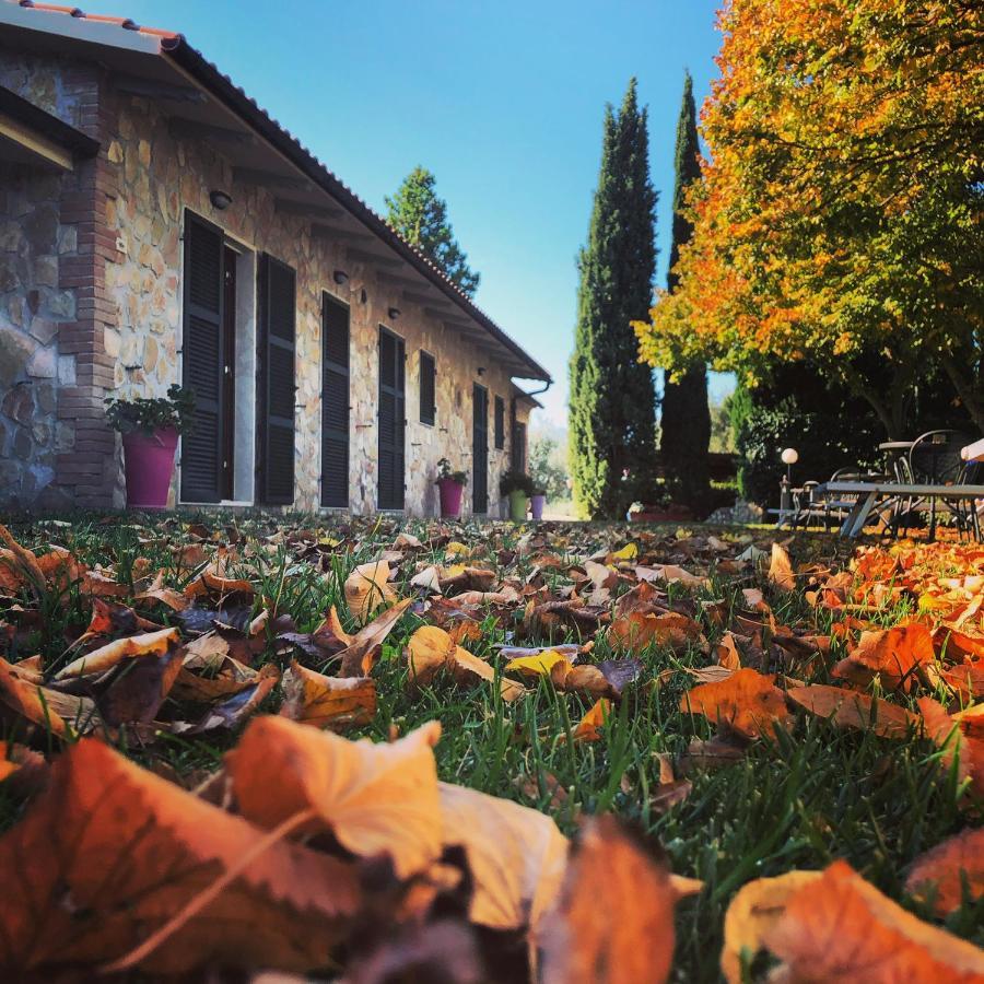 Agriturismo Poggio Del Drago Montemerano Luaran gambar