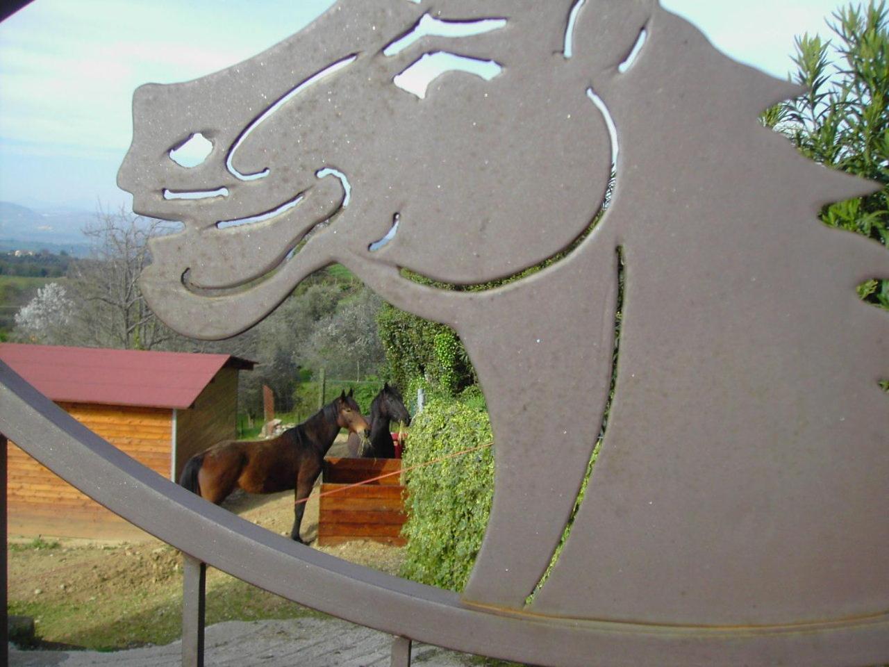 Agriturismo Poggio Del Drago Montemerano Luaran gambar