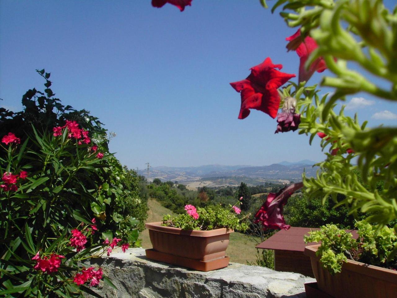 Agriturismo Poggio Del Drago Montemerano Luaran gambar