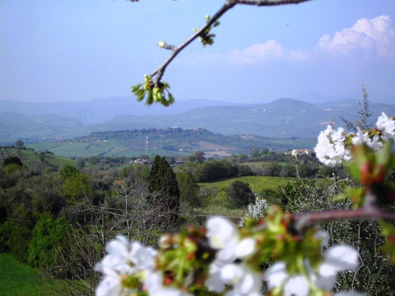 Agriturismo Poggio Del Drago Montemerano Luaran gambar