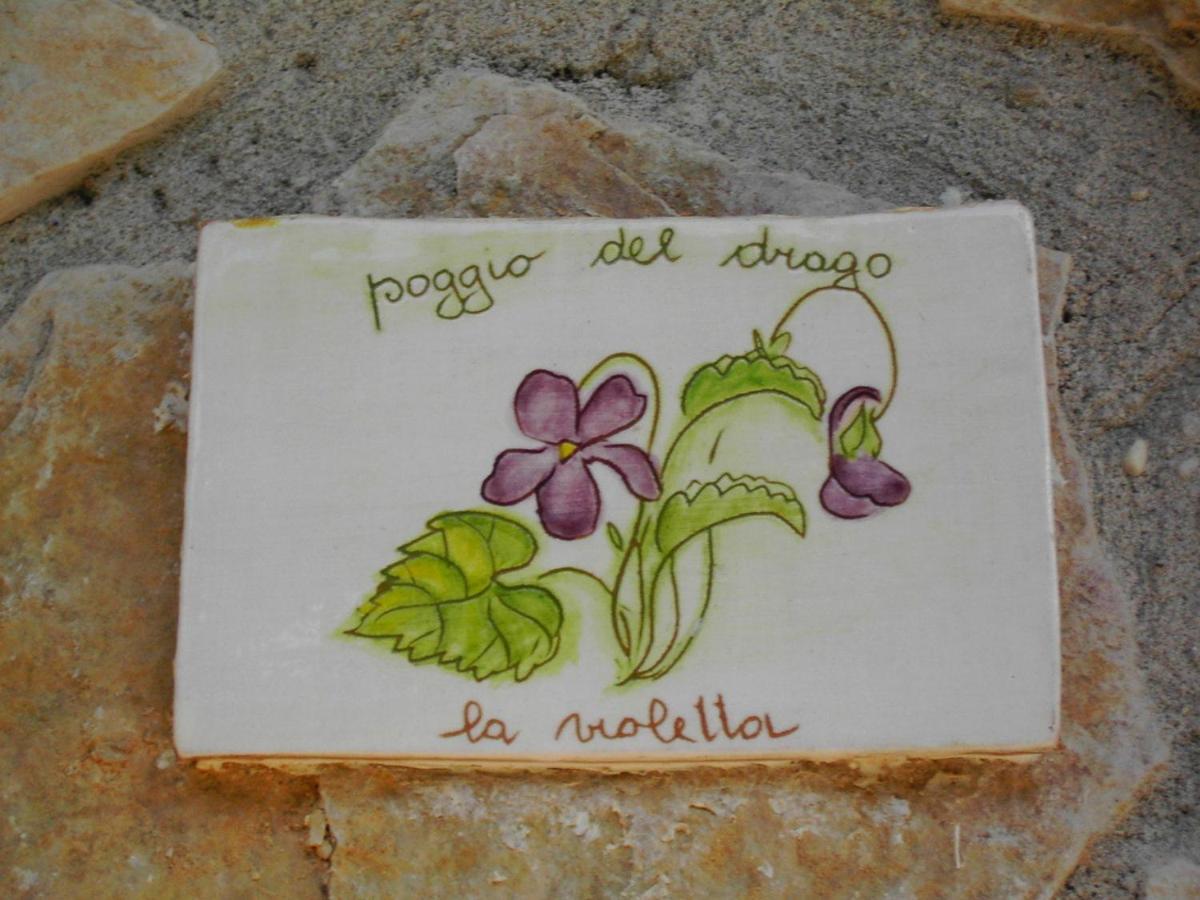 Agriturismo Poggio Del Drago Montemerano Bilik gambar